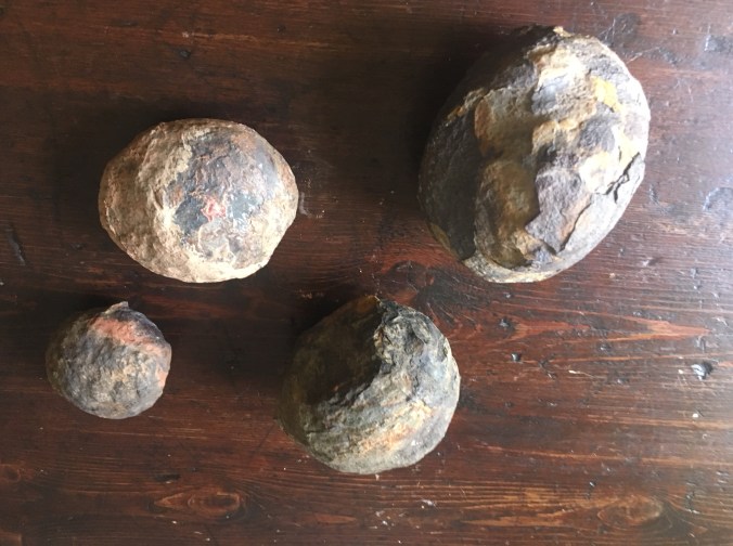 Coprolithes fossiles