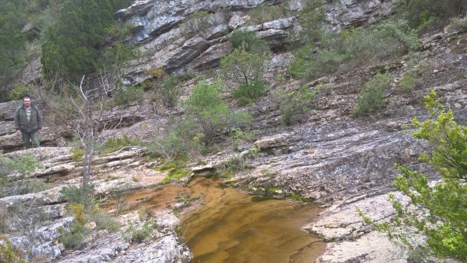 Empreinte dinosaure1