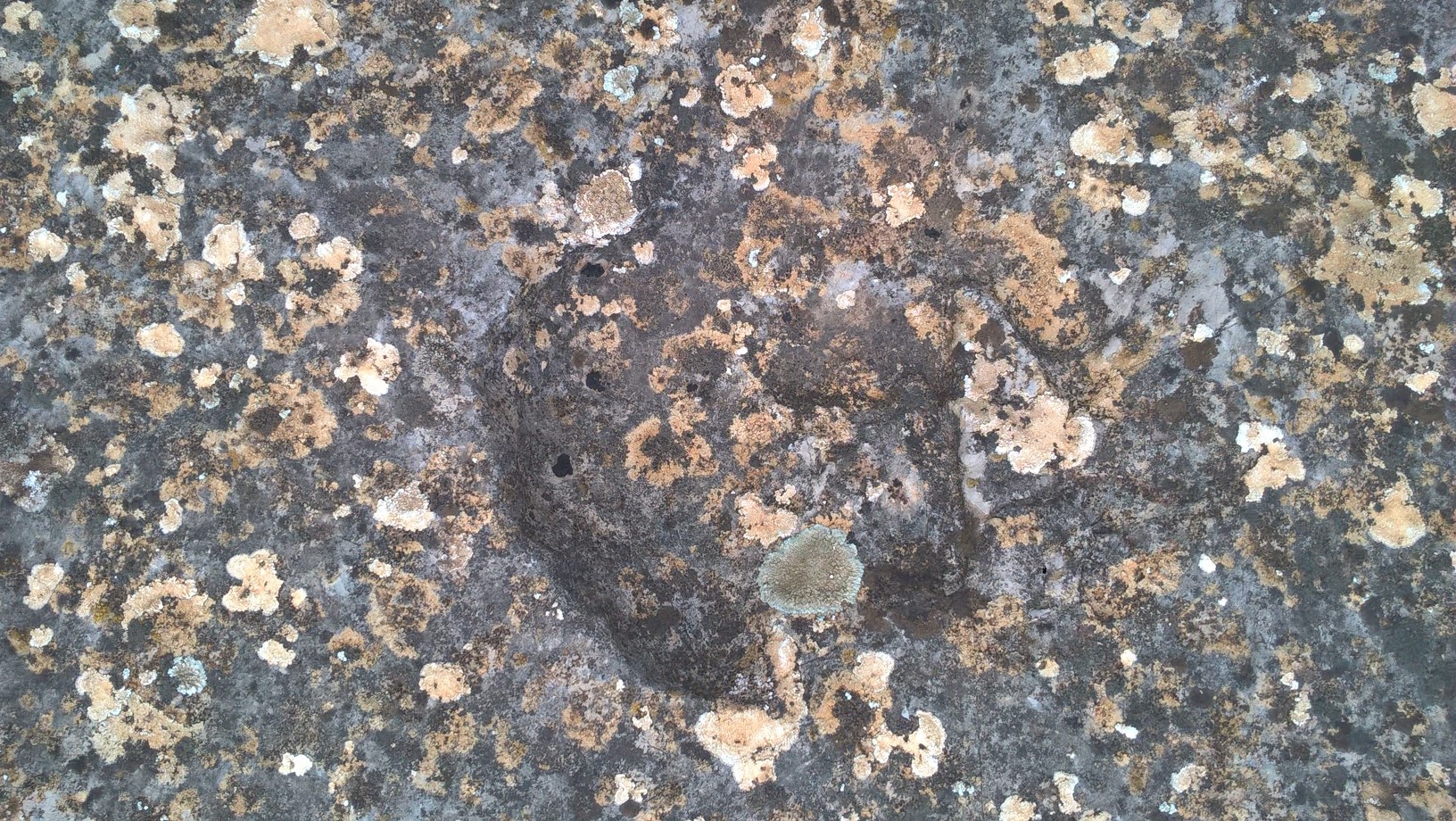 Empreintes dinosaures (4)