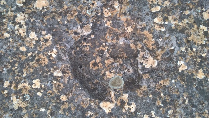 Empreintes dinosaures (4)