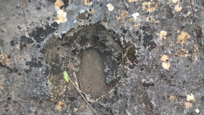 Empreintes dinosaures (5)